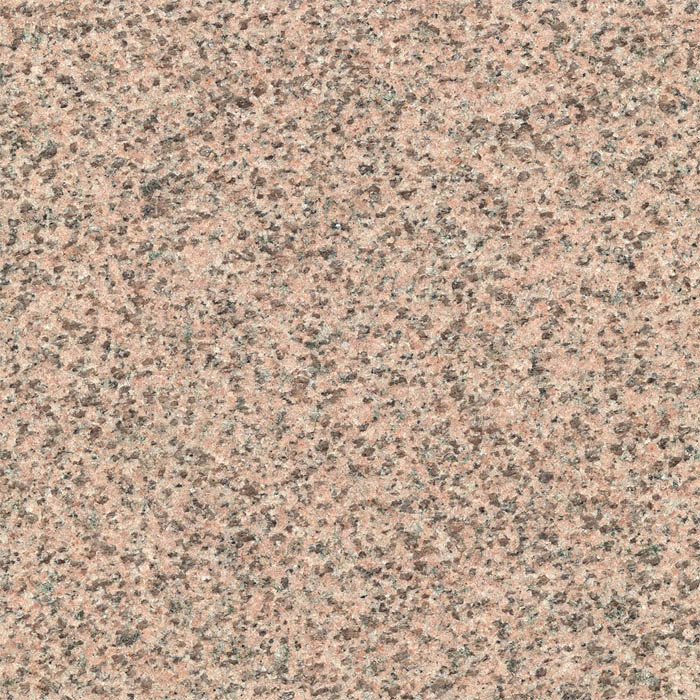 Salisbury Pink