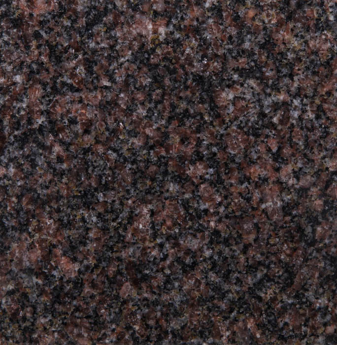 India Mahogany